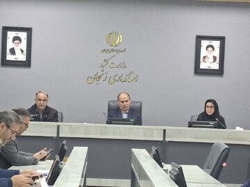 مناسب‌سازی محیط برای افراد دارای معلولیت در زنجان تا اجرای کامل فاصله دارد