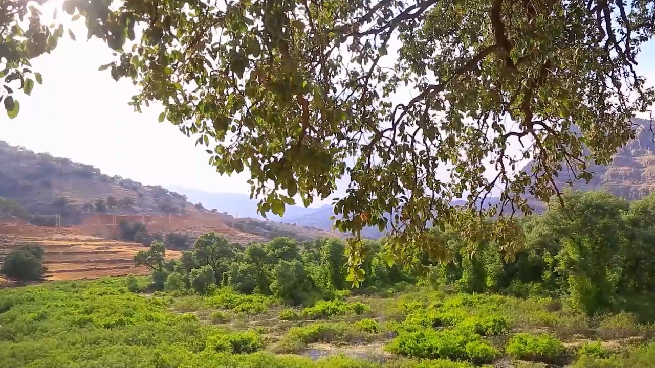 دشت شیمبار خوزستان؛ بهشتی پنهان در دل زاگرس