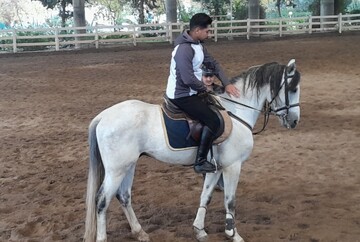 گلستان؛ خاستگاه اصیل اسب ترکمن و قطب سوارکاری ایران/ اسب ترکمن میراث بزرگ فرهنگی و گردشگری گلستان است