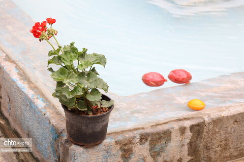 خانه کُرد سنندج میزبان نمایشگاه صنایع‌دستی ویژه شب چله شد