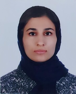 شبکه‌های اجتماعی و آینده صنعت گردشگری