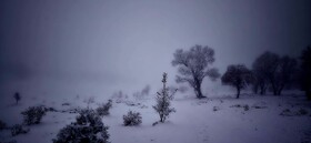 گلگشت در دزپارت و بلوط‌بلند به‌وقت بارش برف