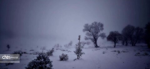 گلگشت در دزپارت و بلوط‌بلند به‌وقت بارش برف