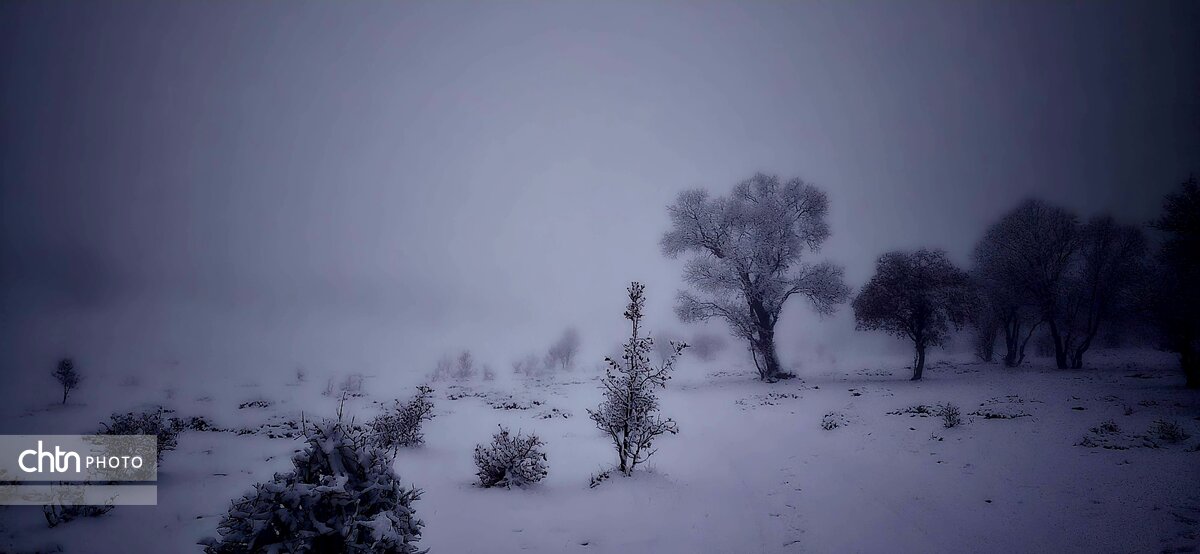 گلگشت در دزپارت و بلوط‌بلند به‌وقت بارش برف