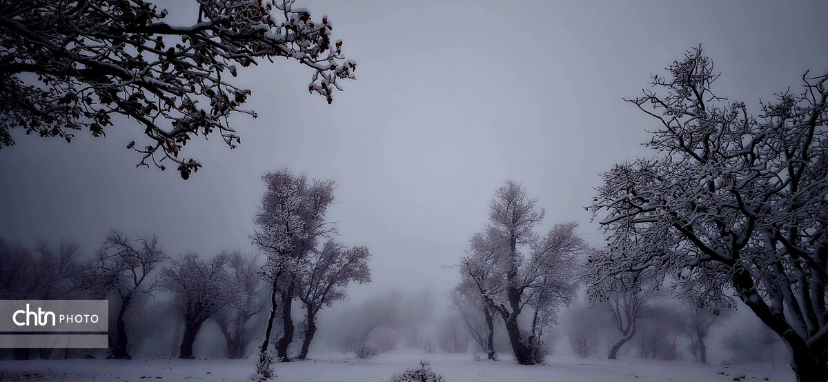 گلگشت در دزپارت و بلوط‌بلند به‌وقت بارش برف