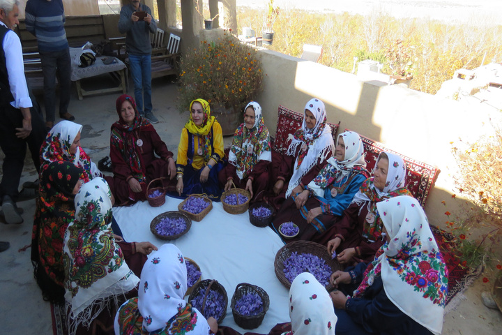 زعفران قلعه