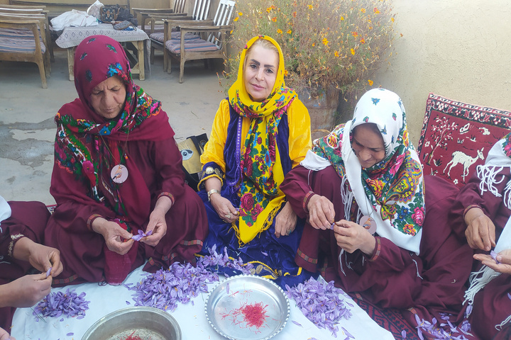 زعفران قلعه