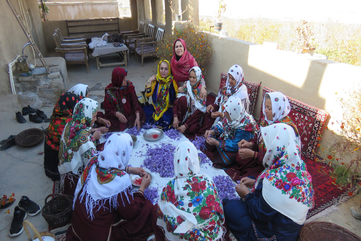 زعفران قلعه