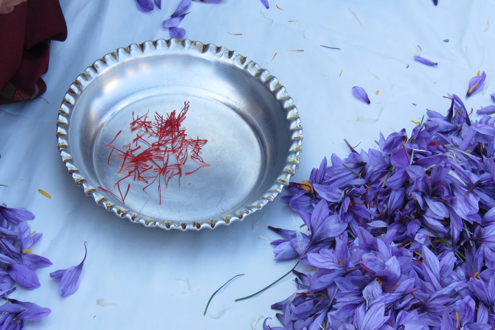 زعفران قلعه