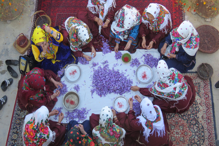 زعفران قلعه