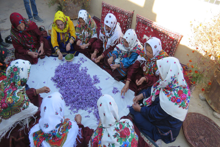 زعفران قلعه