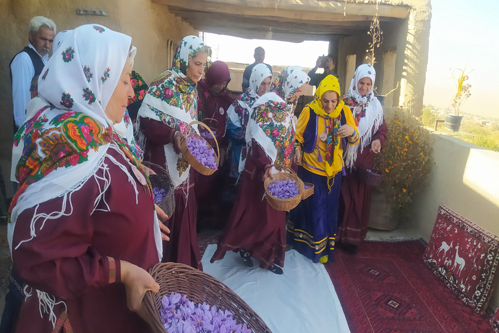 زعفران قلعه