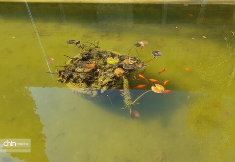 باغ نگارستان؛ نگین تاریخی تهران در دل شهر