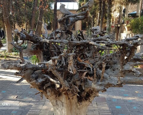 باغ نگارستان؛ نگین تاریخی تهران در دل شهر