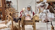 نمایش زنجیره ارزش پنبه از بذر تا پوشاک در جشنواره اقوام/ با حمایت مسئولان، نساجی می‌تواند الگوی توسعه روستایی گلستان شود