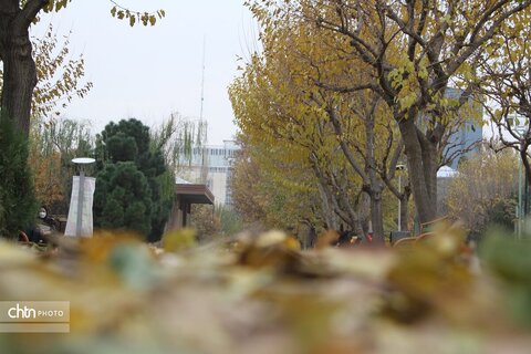 احیای هویت فرهنگی در قلب پایتخت با بوستان هنرمندان