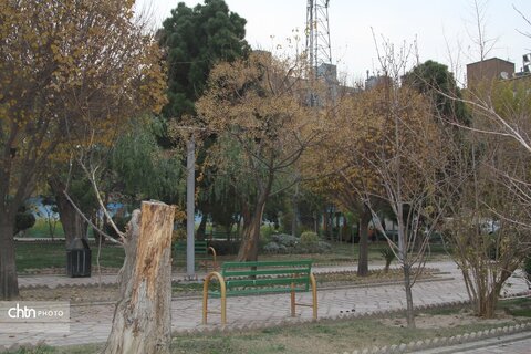 احیای هویت فرهنگی در قلب پایتخت با بوستان هنرمندان