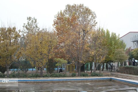 احیای هویت فرهنگی در قلب پایتخت با بوستان هنرمندان