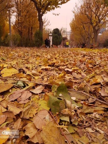 احیای هویت فرهنگی در قلب پایتخت با بوستان هنرمندان