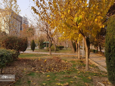 احیای هویت فرهنگی در قلب پایتخت با بوستان هنرمندان