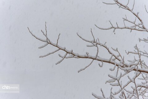 بارش برف در شهرکرد