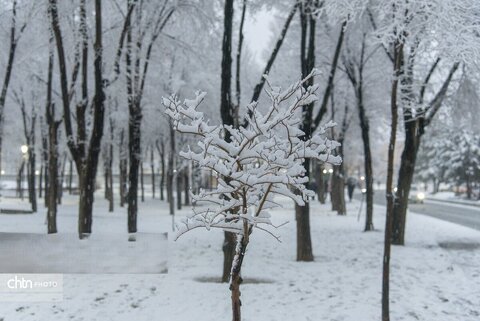 بارش برف در شهرکرد