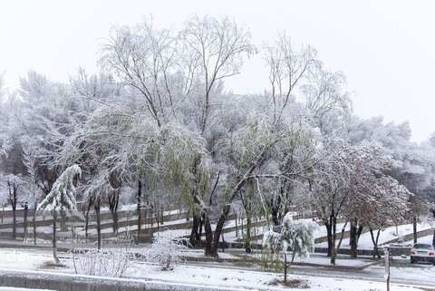 بارش برف در شهرکرد