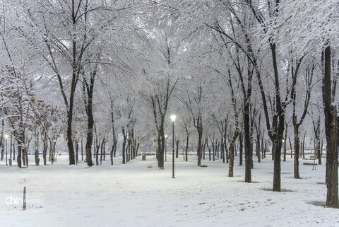 بارش برف در شهرکرد