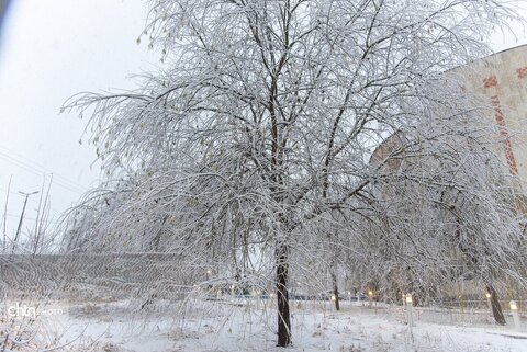 بارش برف در شهرکرد