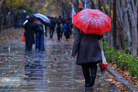 اولین بارش باران در محور فرهنگی و تاریخی چهارباغ اصفهان
