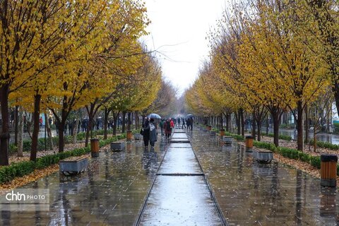 اولین بارش باران در محور فرهنگی و تاریخی چهارباغ اصفهان