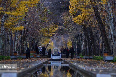 اولین بارش باران در محور فرهنگی و تاریخی چهارباغ اصفهان