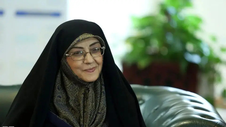 وزیر میراث‌فرهنگی درگذشت دکتر اشرف بروجردی را تسلیت گفت