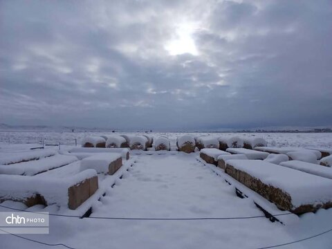 پاسارگاد برفی