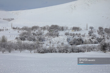 آستانه شازند؛ نخستین برف پاییزی، نویدبخش برکت و امید