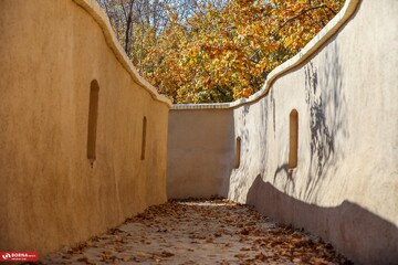 پاییز در محلات؛ پایتخت گل ایران، رنگ و بویی تازه