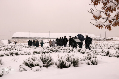 بازدید ادیبان و پزشکان آسیای میانه از بناهای تاریخی همدان