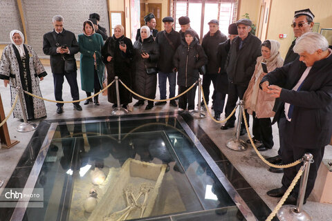 بازدید ادیبان و پزشکان آسیای میانه از بناهای تاریخی همدان