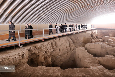 بازدید ادیبان و پزشکان آسیای میانه از بناهای تاریخی همدان