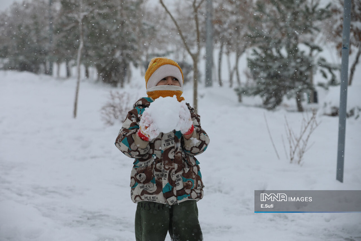 استان مرکزی