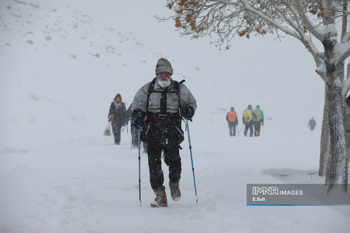 استان مرکزی