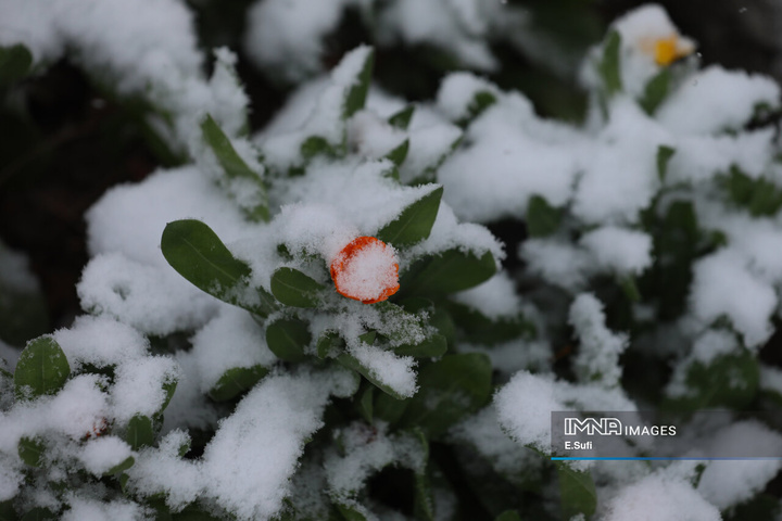 استان مرکزی