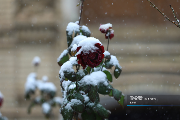 استان مرکزی