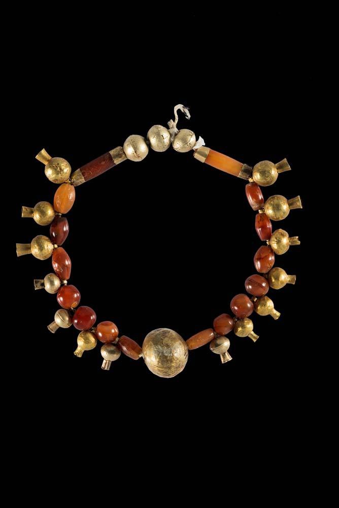 خاستگاه اصلی انار، فلات ایران است نه مدیترانه/ شاخه‌ای که داریوش هخامنشی در دست دارد، به احتمال زیاد «گل انار» است/ انار؛ میراث زنده تمدن ایران از عصر آهن تا شب یلدا