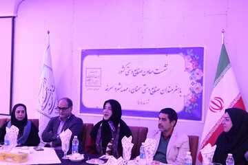 گفت‌وگوی بی‌واسطه معاون صنایع‌دستی کشور با هنرمندان سمنان، مهدی‌شهر و سرخه