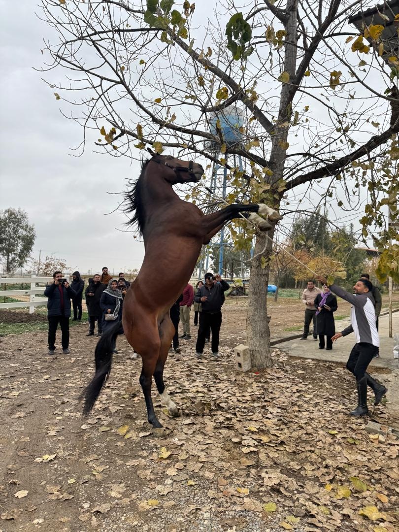 تور رسانه‌ای استان گلستان؛ روایت فرهنگ، تاریخ و ظرفیت‌های گردشگری