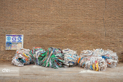 تولید شیر ، دامداری تلیسه‌ نمونه