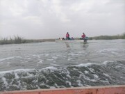 گشت فرهنگی ـ رسانه‌ای در تالاب بین‌المللی شادگان انجام شد