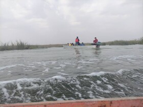 گشت فرهنگی ـ رسانه‌ای در تالاب بین‌المللی شادگان انجام شد