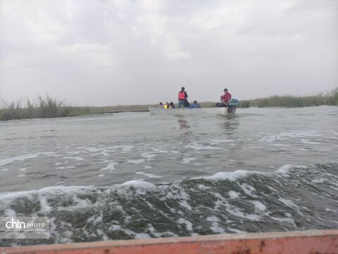 گشت فرهنگی ـ رسانه‌ای در تالاب بین‌المللی شادگان انجام شد